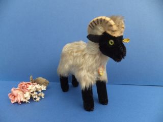 Vintage Steiff Snucki Ear Button,  Tags Mohair Toy Sheep Capricorn Goat,  Horns