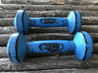 Vintage Berg Cast Iron Dumbells Weight Lifting Fitness Training Antique