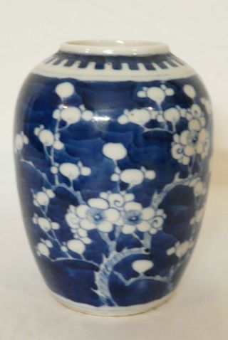Antique Chinese Porcelain Ginger Jar Blue White Prunus Double Circle Mark 5 - 1/2 "