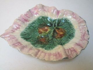 Antique Etruscan Griffin Smith & Hill Majolica Leaf Dish W/ Mark