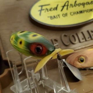 Vintage Fred Arbogast Wood Jitterbug Lure With Plastic Lip In Custom Frog Spot