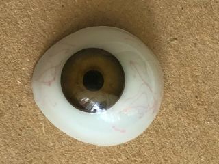 World War Wwii Hospital Vintage Antique Prosthetic Human Glass Eye Brown