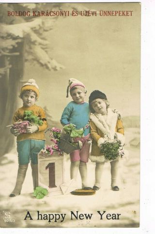 Antique Hungarian Tinted Year Postcard Children,  Calendar Page,  Plants