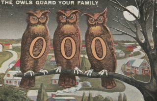Rare Order Of Owls 1910 Antique Postcard / P16