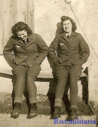 Rare Outdoor Pic Pair Female Luftwaffe Uniformed Helferin Girls On Bench