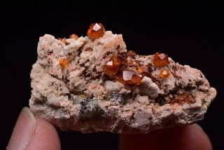 Natural Fanta Spessartine Garnets Feldspar Crystal Cluster Rare Mineral Specimen