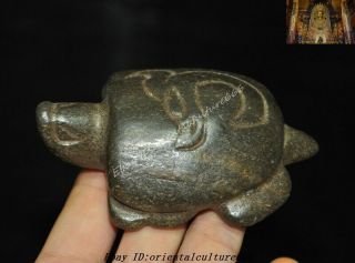 China Hongshan Culture Meteorite Iron Carved Dragon Hook Turtle Tortoise Statue