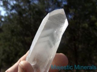 World Class Rare Ghost Phantom_large Clear Lemurian Seed Quartz Crystal Point