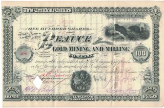 Rare - Beauce Gold Mining & Milling Co.  Stock 1881 - 100 Shares