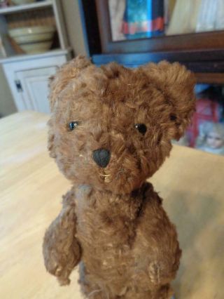 Small Vtg.  Antique? Brown Teddy Bear Mohair? Jointed Arms/legs 7.  5 " Well Loved