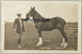 Real Photo Postcard Gentleman & Horse Braintree Essex Rp Antique Racing