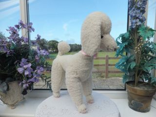 Large 42cm 16.  5 " Vintage White Toy Poodle Dog Glass Eyes Inner Wired Legs Bear