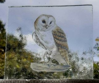 Stained Glass Owl Kiln fired pane piece 10.  5 cm x 10 cm 3