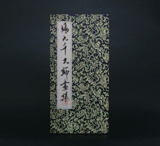 Rare Antique Chinese Hand - Painting Scroll Book Zhang Daqian Marked - Persimmon