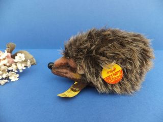 5 " Vintage Mohair Steiff Joggi Hedgehog Toy,  Ear Button & Tags 1670/10 German