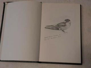 Vintage Sketch Book Of Birds From Victoria B.  C.  25 Drawing Late 1970s