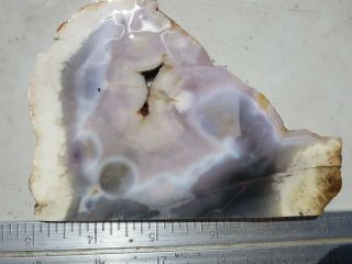 1037 Champagne Agate Slab From Brazil.  Rare Material,  Great For Cabs.