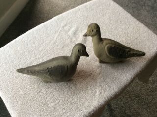 Vintage Paper Mache Mourning Morning Dove Decoys Very Good Shape Antique