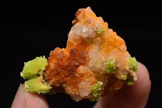12g Natural Pyromorphite Crystal Cluster Rare Mineral Specimens