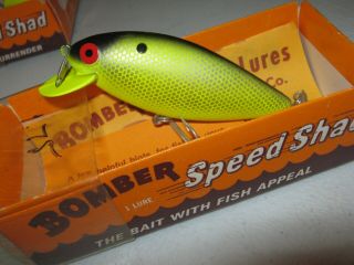 Vintage Bomber Fishing Lure Speed Shad Rare Color 2