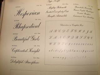 Letterpress Type - 24 pt.  Typo Script - Rare (Font Two) 3