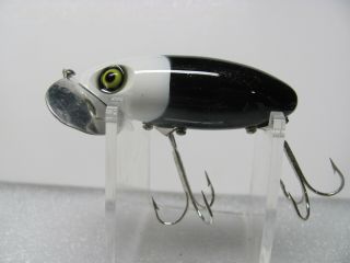 Pristine Arbogast 5/8 Oz.  Jitterbug In White Head/black With Yellow Eyes