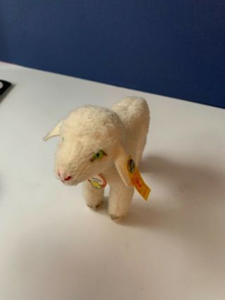 Vintage Steiff Lamb With Ear Tag And Tags Attached 1936