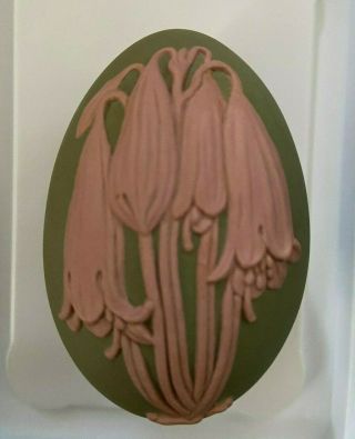 Rare Wedgwood Green And Pink Jasperware Australian Floral Edition Trinket Box Ec