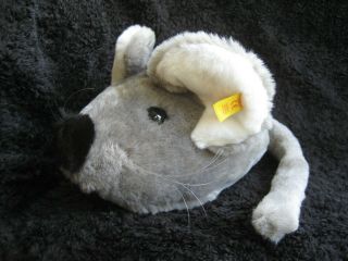 Rare 1991/99 German Steiff Xl Mouse W.  Button & Tag Cosy Fiep