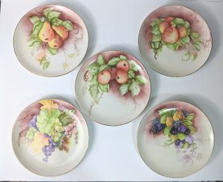 Hand Painted Fruit,  Artist Signed Porcelain Wall Hanging Plates With Gilt Edge