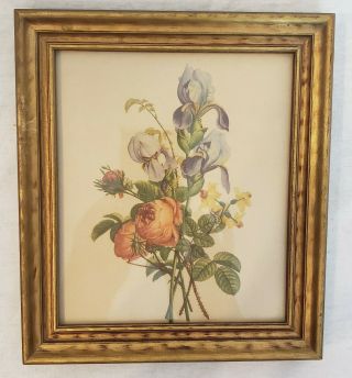 Set of 3 vintage Jean Louis Prevost floral prints framed with backing 2