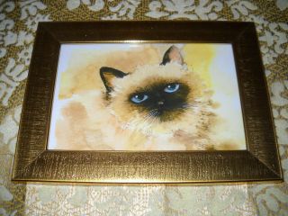 Sweet Siamese Cat Portrait 4 X 6 Gold Framed Print Vintage Style Animal Picture