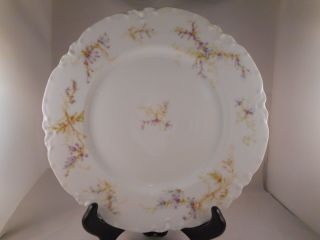 Antique Dinner Plate,  Haviland,  H & Co China,  Limoges,  H2991,  Blank 1,  Wisteria