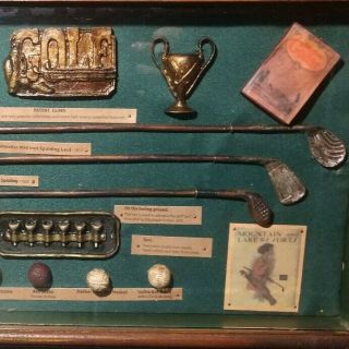 Vintage The History of Golf Antique Collectible Shadow Box Balls Irons Tees 2