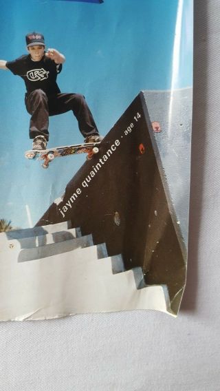 RaRe.  vintage Termite Skateboard poster 18x24 