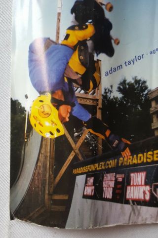 RaRe.  vintage Termite Skateboard poster 18x24 