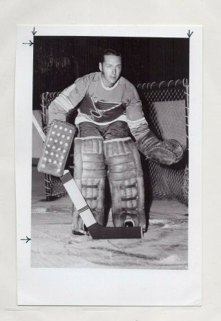 Ernie Wakely 1969 - 70 St.  Louis Blues Nhl Press Wire 6x8 Photograph Rare