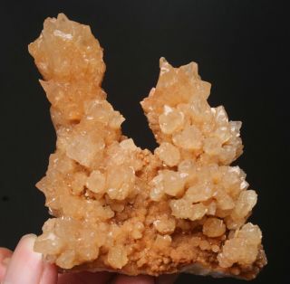 123g Rare Natural Yellow Clear Calcite Crystal Cluster Mineral Specimen