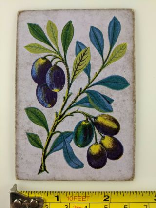Antique Playing Card Old Single Square Corner Date Olive? Fruit Tree Vtg Art
