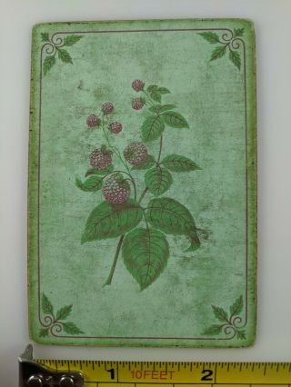 Antique Playing Card Old Single Square Corner Raspberry Fruit Plant Vtg Art Dsgn