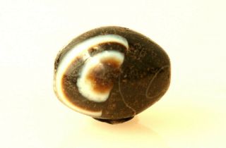 Rare Tibetan Old Agate Dzi Bead,  Very Rare 1 Eye Bead,  22x18 Mm In