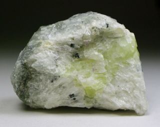 Shortite - Rare Yellow Mineral In Matrix - Mont Saint - Hilaire