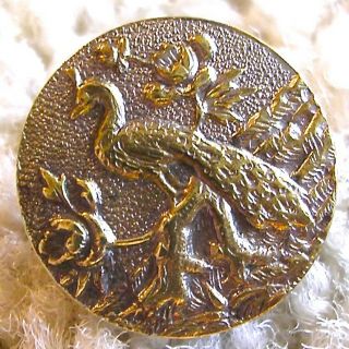 Scarce Antique French Tight - Top Brass Peacock Button,  Ca.  1880s/1890s