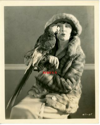 Mae Busch Vintage 1925 Photo " The Unholy Three " With Parrot,  Rare Pose