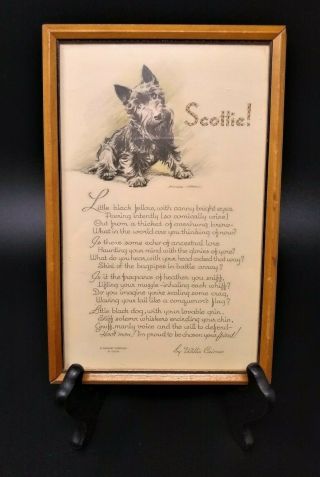 Vintage Print " Scottie " Scottish Terrier By Willis Cairnes,  A Gibson Keepsake