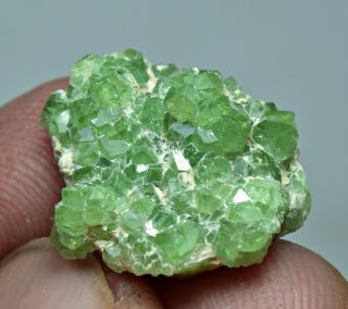 13 ct Full Terminated Rare Demontoid Garnet Transparent Crystals Cluster @ AFGHA 2