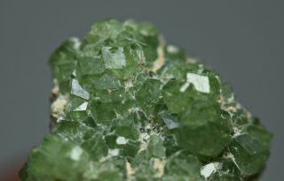 13 ct Full Terminated Rare Demontoid Garnet Transparent Crystals Cluster @ AFGHA 3