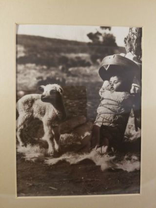 Rare Vintage Native American Indian Baby In Cradleboard And Lamb B&w Photograph