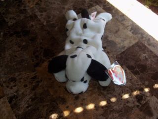 Extremely Rare Ty Beanie Baby Dotty 1996 With Multiple Tag Errors