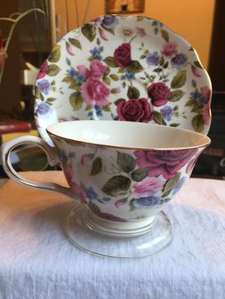 Vintage Tea Cup And Saucer Gracie China (rare) 1900s